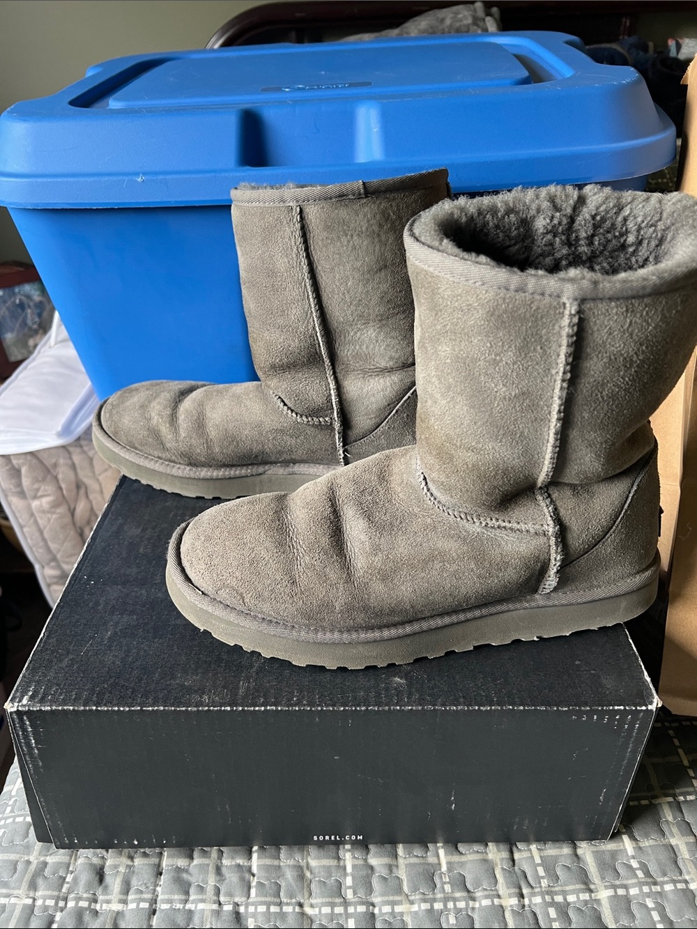 UGG Classic Short Winter Boots - Gray - Picture 2 of 6